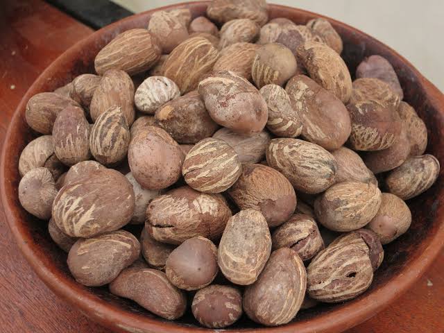 Amandes de karité prêtes pour la transformation